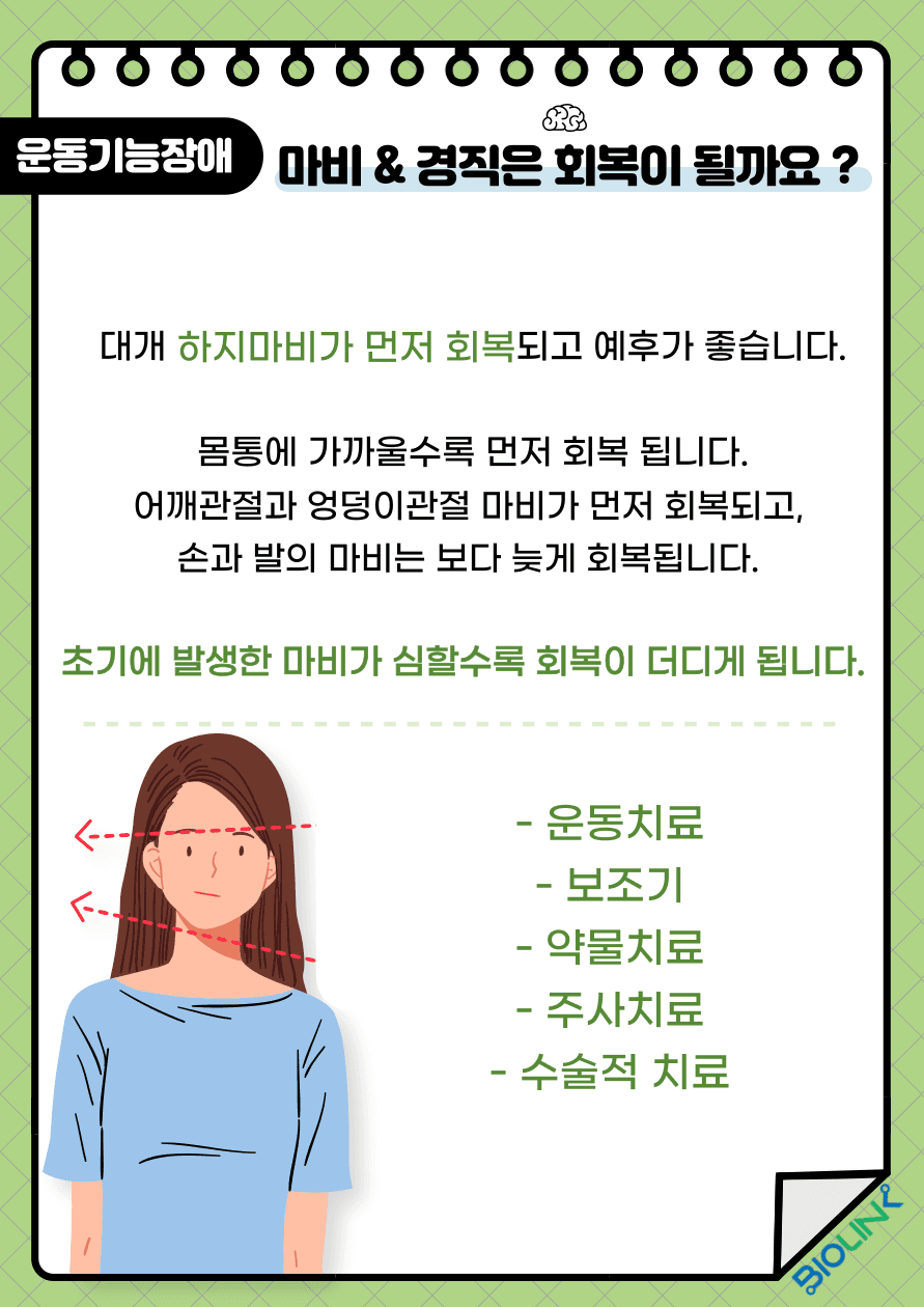 Q: 환자의 마비 및 경직은 회복이 가능할까요?> A: 마비는 급성기 뇌졸중 환자의 약 88%에서 보이는 증상으로 상지의 마비가 하지의 마비보다 심하며 일반적으로 하지마비가 먼저 회복되고 예후도 좋습니다. 또한 몸통에 가까운 어깨관절과 엉덩관절 마비가 먼저 회복되고 손이나 발의 마비는 보다 늦게 회복됩니다. 초기 마비 정도가 심할수록 회복의 정도가 낮다고 보고 있습니다. 경직은 만성기 뇌졸중 환자의 17~43%가 발생하는 증상으로, 뇌졸중 병변위치, 특성, 나이 등 여러 요인과 관련이 있습니다. 경직은 관절 운동 범위를 감소시켜 통증을 유발할 수 있어 감염, 국소통증 등 경직의 다양한 원인을 파악하여 운동치료, 보조기, 약물치료, 주사치료, 수술적 치료 등이 우선되어야 합니다.