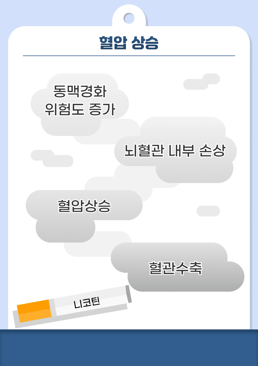 Q. 담배는 연기를 들이마시는건데 뇌혈관에 영향을 미칠 수 있나요? A. 먼저 흡연은 단기적으로나 장기적으로 혈압을 상승시키는 원인이 됩니다. 담배 안의 니코틴 성분은 우리 몸이 흥분 상태일 때 활성화 되는 교감신경을 자극하여 혈관을 수축시키고 혈압을 상승시킵니다. 혈관 수축 시 뇌로 가는 혈액 공급에도 영향을 줄 수 있으며, 지속적인 흡연은 장기적으로 혈압을 상승시켜 뇌혈관 내부의 손상을 유발하게 되며, 동맥경화의 위험도 높이게 됩니다.