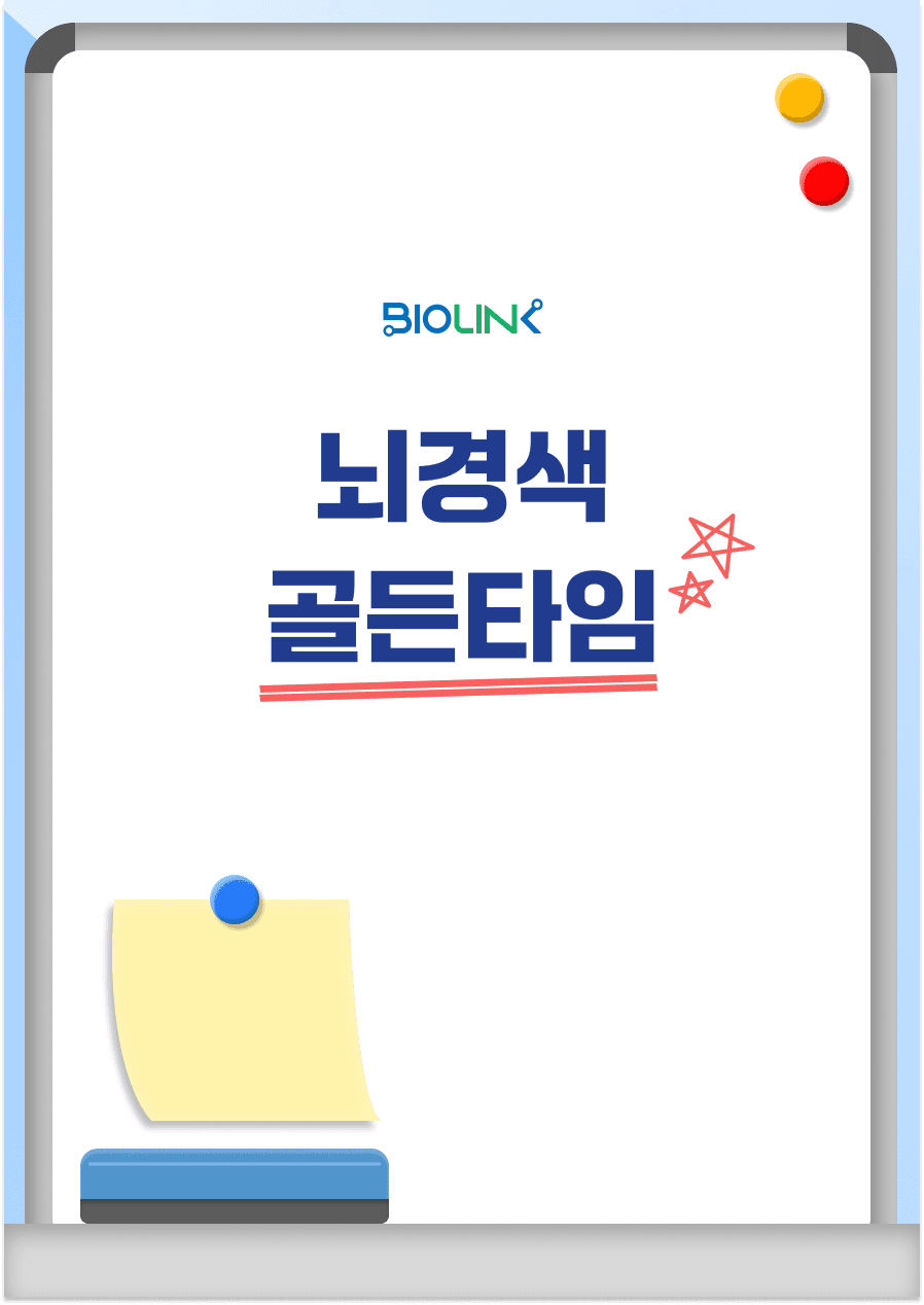 직사각 썸네일 미리보기