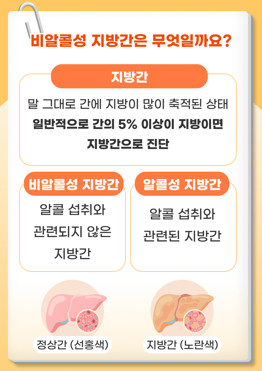 지방간이라는 말을 들어본 적 있으신가요? 그 중, 오늘은 비알콜성 지방간에 대해 말씀드리고자 합니다. 비알콜성 지방간은 간에 지방이 과도하게 축적되는 상태를 말하며, 일반적으로 간의 5% 이상이 지방이면 지방간으로 진단합니다. 이 질환은 알콜 섭취와는 관계없이 발생하기 때문에 ‘비알콜성’이라는 이름이 붙여졌습니다. 이는 과체중, 당뇨병, 고혈압 등과 밀접한 관련이 있습니다.