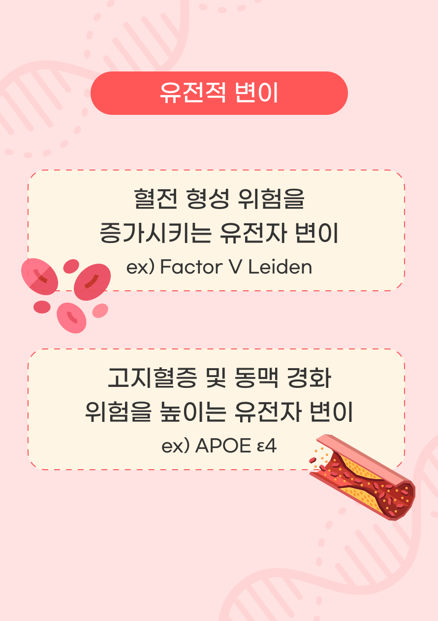뇌졸중의 위험요인과 관련된 유전적 변이도 있습니다. 혈전 형성 위험을 높이는 유전적 변이가 있으며, Factor V Leiden 변이는 유전성 혈전증의 가장 흔한 원인 중 하나입니다. 혈전이 뇌 혈관을 막으면 허혈성 뇌졸중이 발생할 수 있습니다. 동맥경화와 고지혈증과 관련된 변이도 있으며, APOE ε4변이는 콜레스테롤 수치와 동맥경화 위험을 증가시킨다고 알려져 있습니다.
