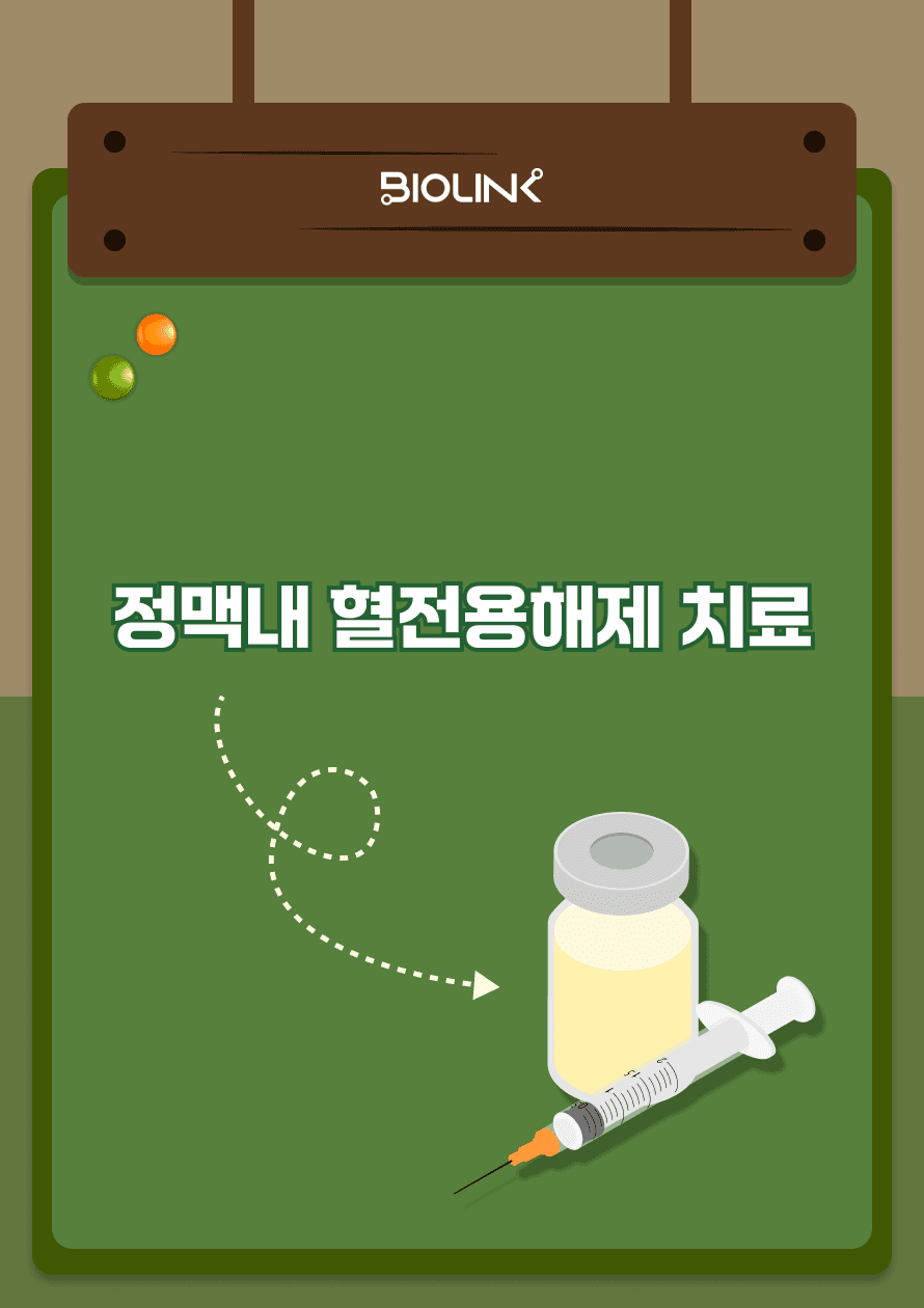 직사각 썸네일 미리보기