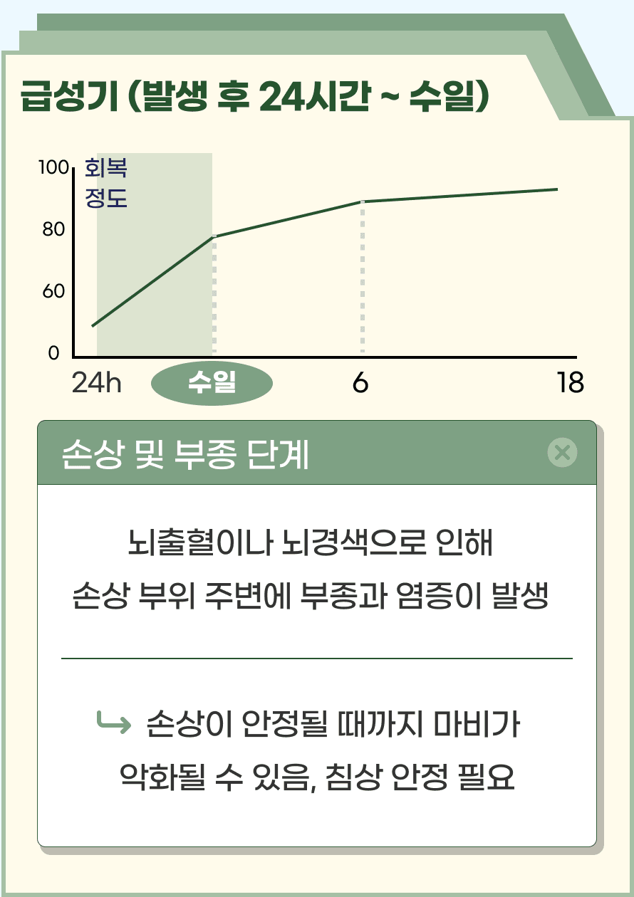 Q. 회복이 일어나는 과정이 궁금해요. A. 먼저 발생 후 24시간 ~ 수일은 급성기입니다. 이 단계는 뇌졸중 이후 손상 부위 주변에 염증과 부종으로 인해 마비가 심하게 나타날 수 있으며, 마비가 더 진행되는 경우도 있습니다. 급성기에는 적극적인 재활치료보다는 침상 안정을 통해 부종을 줄이고 손상 부위를 최소화하는 것이 필요합니다.