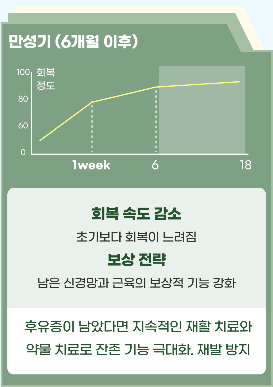 뇌졸중 발생 후 6개월 이후부터는 만성기입니다. 초기보다 회복 속도가 더디며, 남은 신경망과 근육의 보상적 기능 강화되는 시기입니다. 만성기에도 후유증이 남아있다면 지속적인 재활 치료와 약물 치료로 잔존 기능을 극대화하고 재발을 방지하는 치료 전략이 필요합니다.