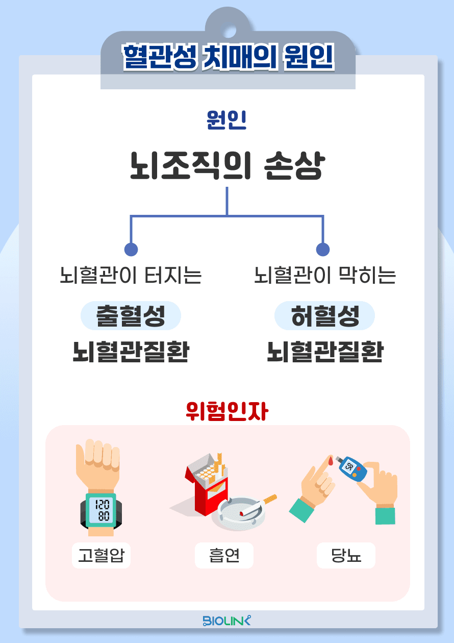 중요한 것은, '뇌조직의 손상'이 혈관성 치매의 원인이라는 것입니다. 뇌조직 손상의 기전으로는 뇌혈관이 막혀서 발생하는 허혈성 뇌혈관 질환과 뇌혈관이 터져서 생기는 출혈성 뇌혈관질환이 있습니다. 이러한 뇌조직 손상의 위험인자로는 고혈압, 당뇨, 흡연 등이 있습니다.