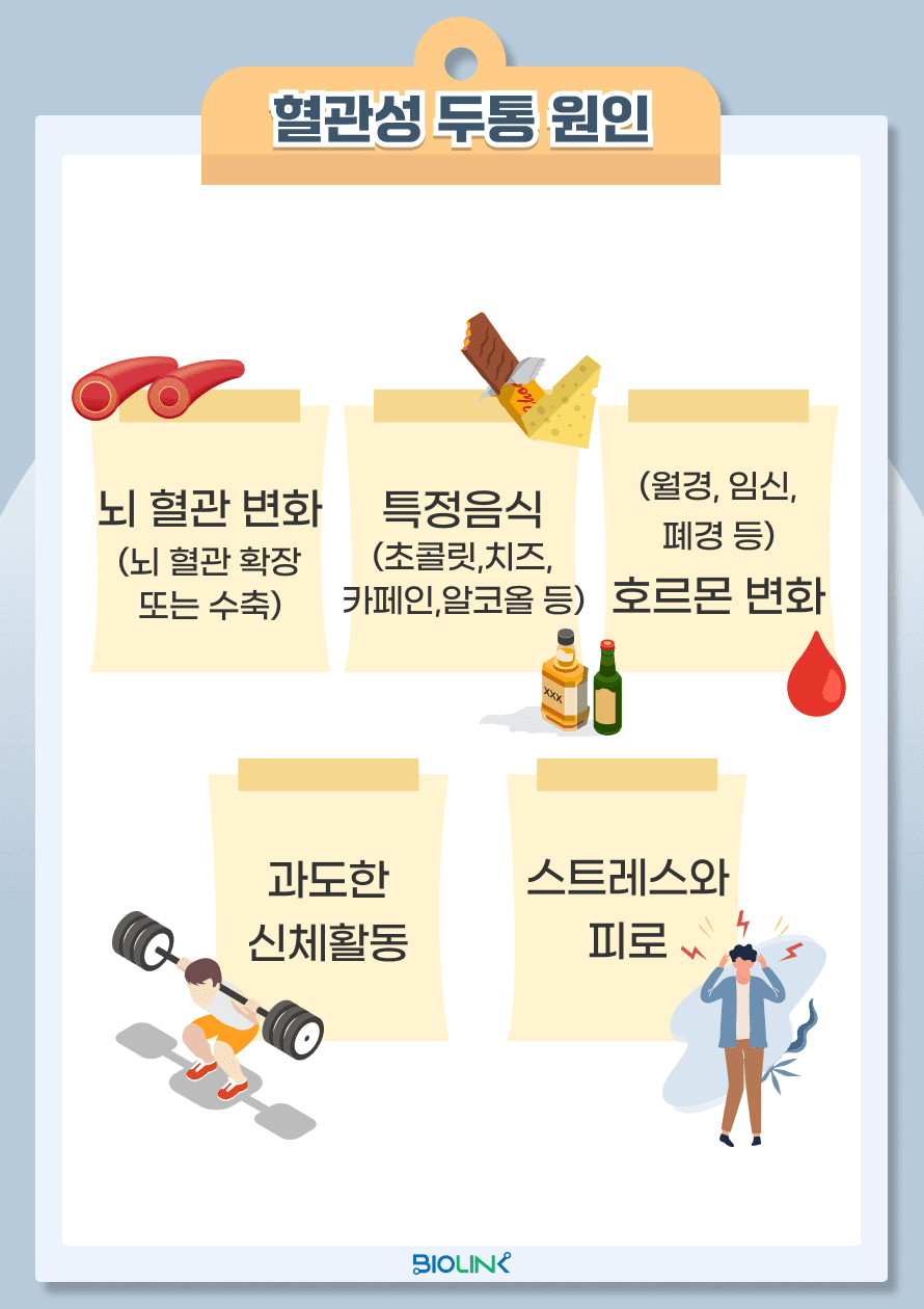 혈관성 두통의 주요 원인은 혈관의 변화입니다. 편두통은 뇌혈관의 일시적인 확장과 수축으로 인해 발생하며, 군발두통은 주로 뇌의 특정 혈관이나 자율신경계의 문제로 발생합니다. 이 외에도 혈압의 급격한 변화, 과도한 신체활동, 스트레스와 피로, 특정 음식물(예: 치즈, 초콜릿, 카페인, 알코올 등), 호르몬 변화(특히 여성에서 월경, 임신, 폐경 등), 그리고 수면 부족 등이 두통을 유발할 수 있습니다.