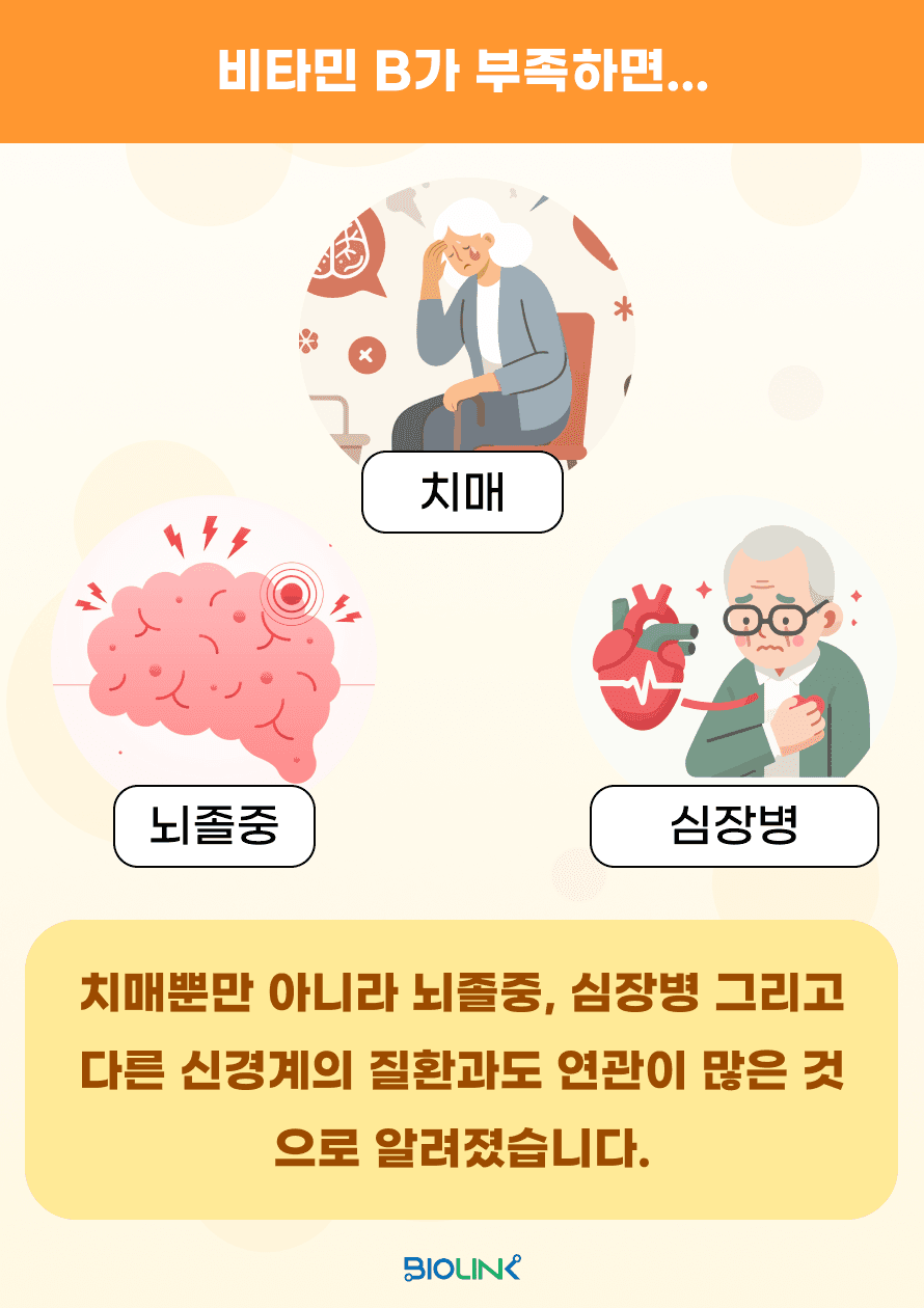또한, 비타민 B군의 결핍은 치매 뿐만 아니라 뇌졸중, 심장병 그리고 다른 신경계 질환과도 연관이 많은 것으로 알려졌습니다.