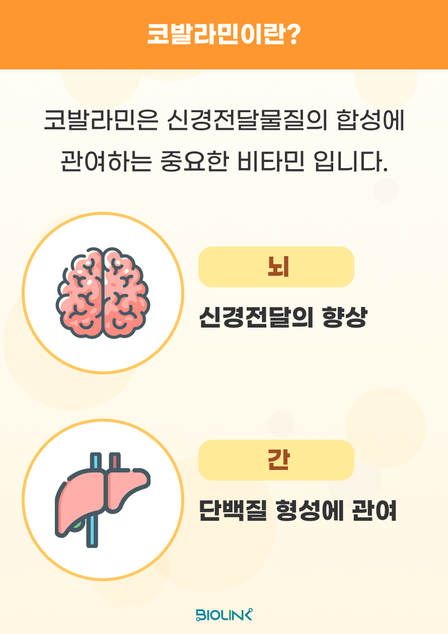 코발라민(비타민 B12)은 적혈구 생성, DNA 합성, 및 신경 기능 유지에 필수적인 비타민입니다. 특히, 신경계에서는 신경전달물질의 합성에 관여하는 중요한 비타민으로, 마이엘린 합성과 유지에 관여하며, 간에서는 단백질을 합성하는 데 중요한 역할을 합니다.