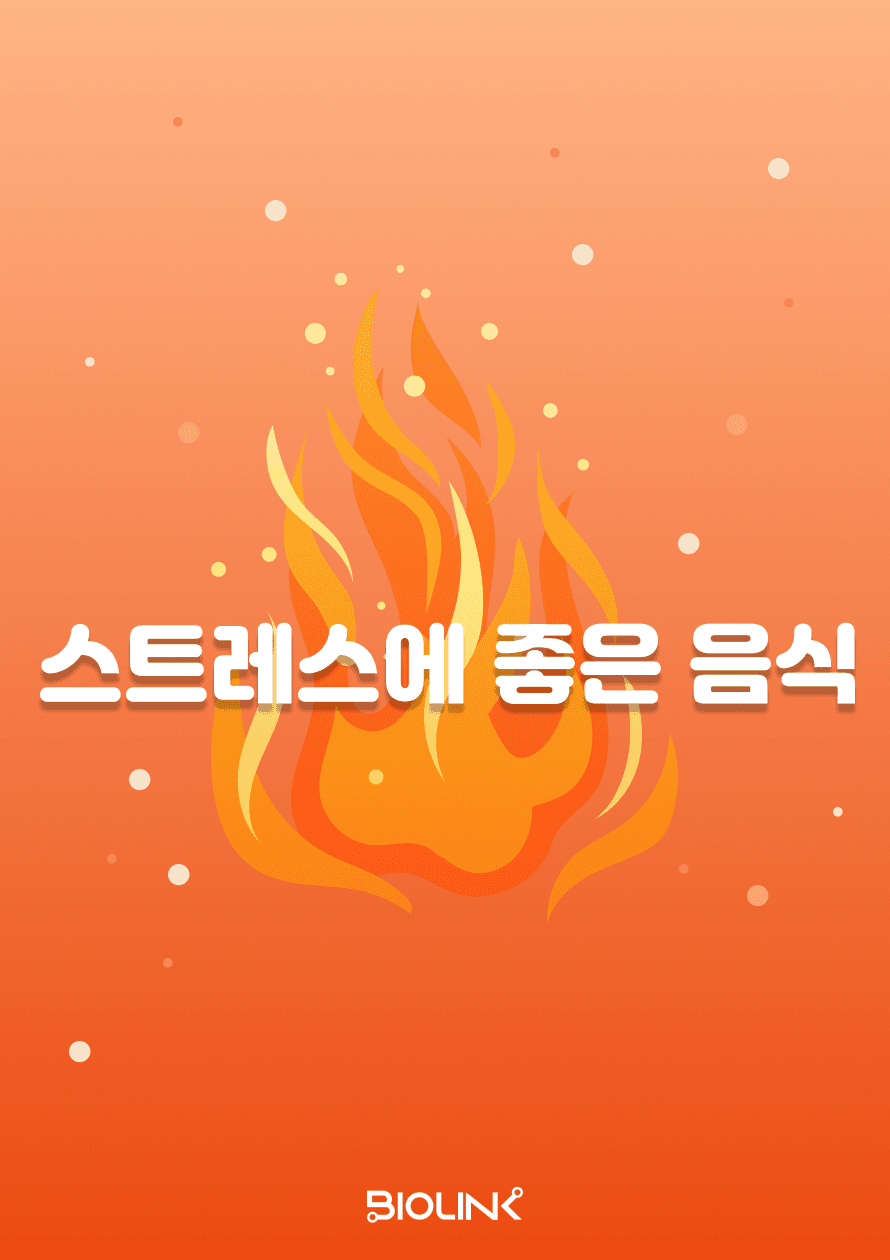 직사각 썸네일 미리보기