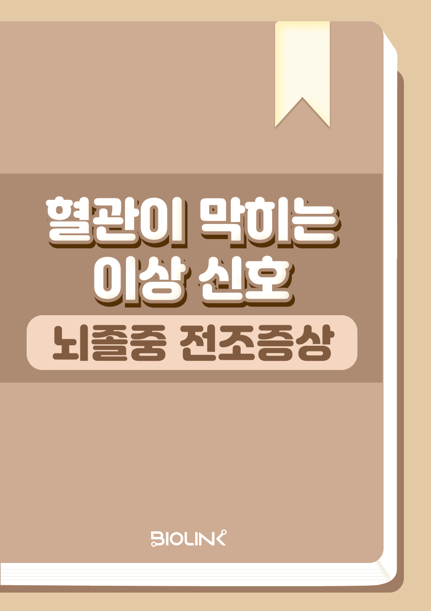 직사각 썸네일 미리보기